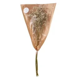 Butlers Kunstpflanzen|Trockenblumen-FLOWER MARKET Trockenblume Schleierkraut
