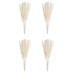 Butlers Kunstpflanzen|Trockenblumen-FLOWER MARKETTrockenblume Mini-Pampasgras 6er-Set