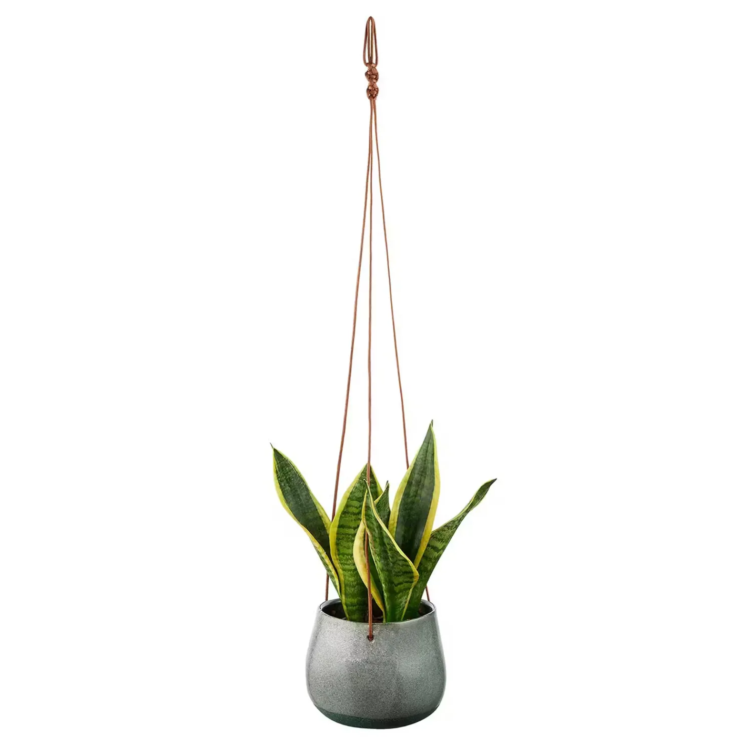 Butlers Blumentöpfe & Übertöpfe-POTTERY Blumentopf zum Hängen