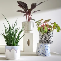 Butlers Blumentöpfe & Übertöpfe-SPLASH Blumenübertopf mit Teller