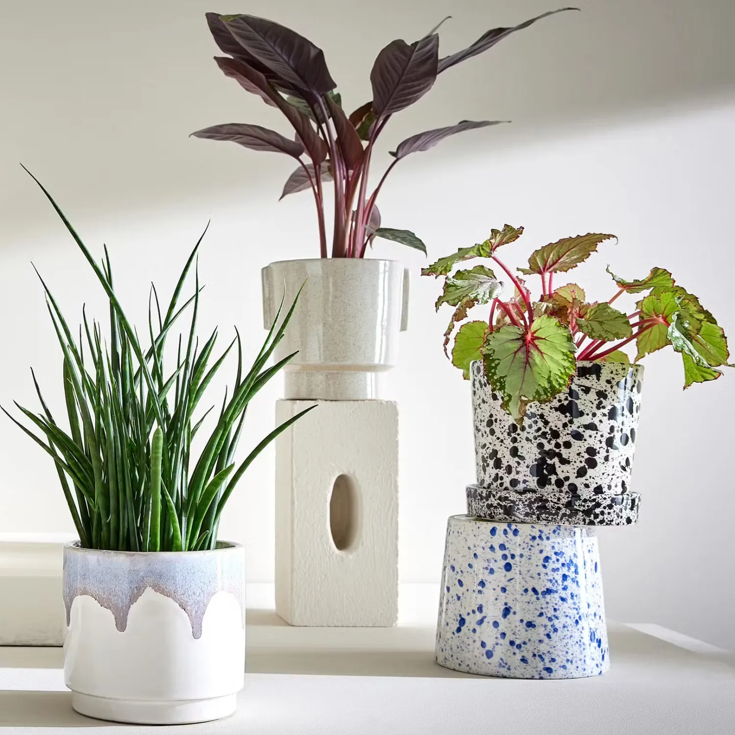 Butlers Blumentöpfe & Übertöpfe-SPLASH Blumenübertopf mit Teller