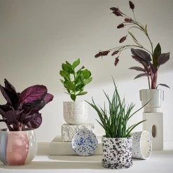 Butlers Blumentöpfe & Übertöpfe-SPLASH Blumenübertopf mit Teller