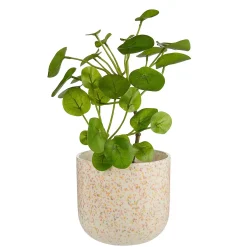 Butlers Blumentöpfe & Übertöpfe-SPOT Blumenübertopf