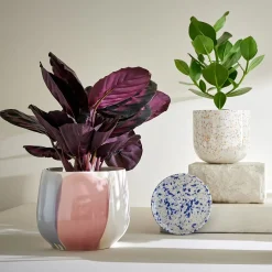 Butlers Blumentöpfe & Übertöpfe-SPOT Blumenübertopf 2er-Set